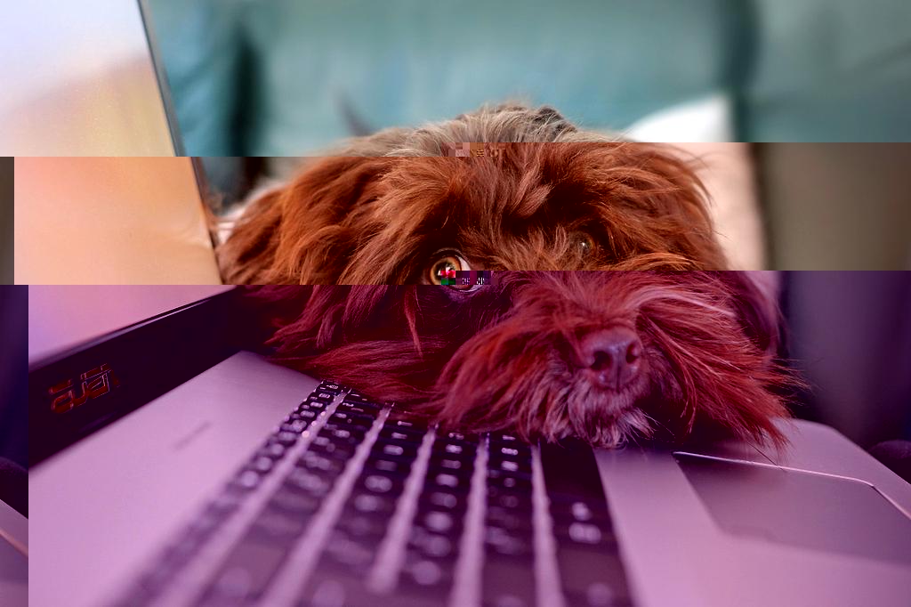 Prevention measures icon