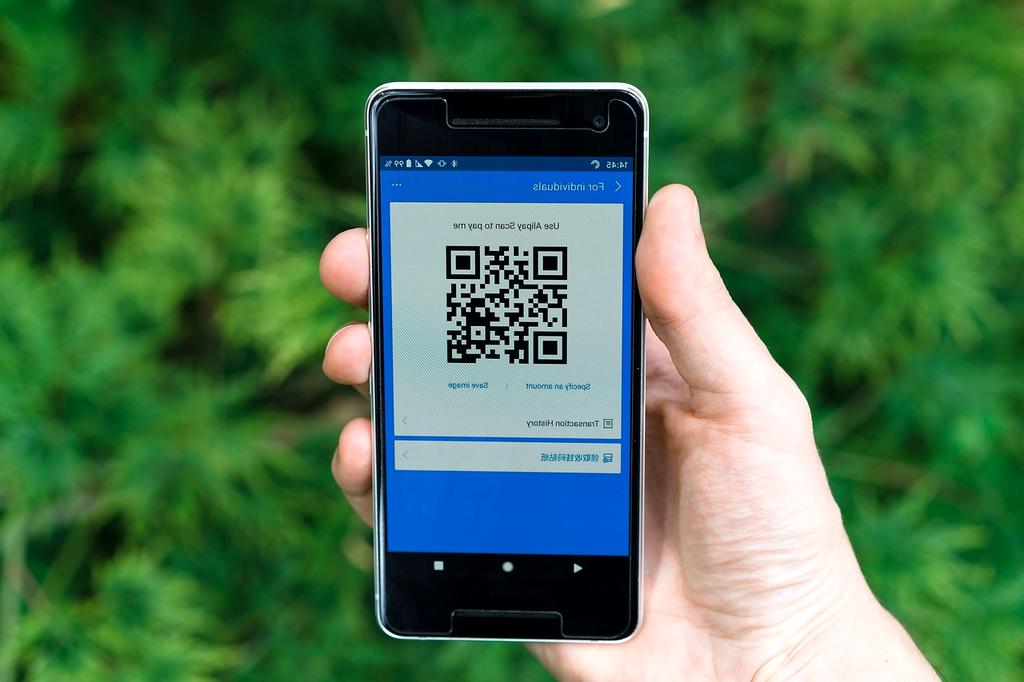 System scan illustration