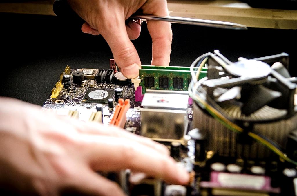 Portrait of Marcus Nguyen, Lead Software Engineer